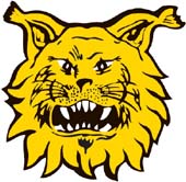 Tampereen Ilves