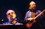 Steely Dan